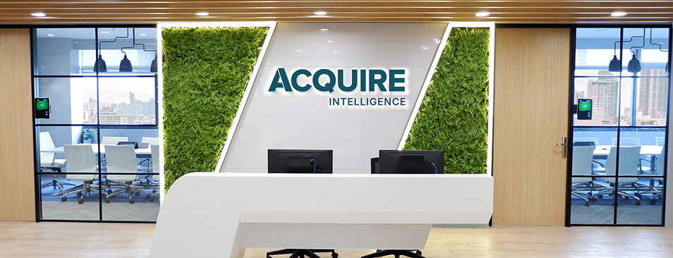 AI Implementation ROI Guarantee